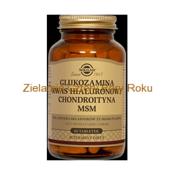 Glukozamina Kwas hialuronowy Kolagen Chondroityna MSM Solgar 60 tabletek